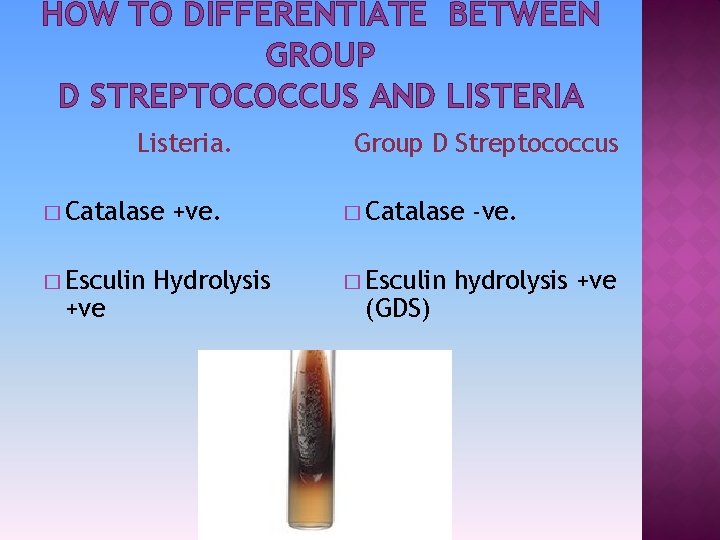 HOW TO DIFFERENTIATE BETWEEN GROUP D STREPTOCOCCUS AND LISTERIA Listeria. � Catalase � Esculin