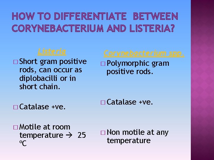 HOW TO DIFFERENTIATE BETWEEN CORYNEBACTERIUM AND LISTERIA? Listeria � Short gram positive rods, can