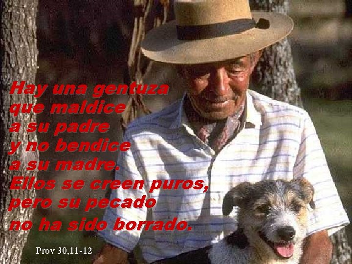 Hay una gentuza que maldice a su padre y no bendice a su madre. Hay una gentuza que maldice a su padre y no bendice a su madre.