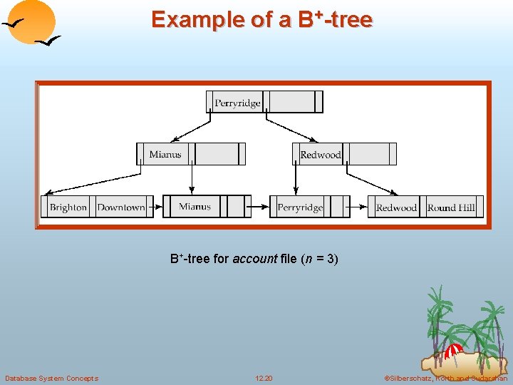 Example of a B+-tree for account file (n = 3) Database System Concepts 12.
