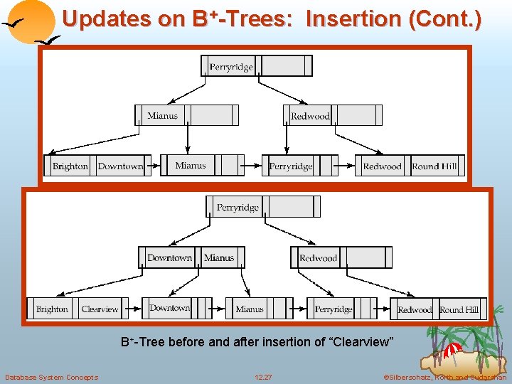 Updates on B+-Trees: Insertion (Cont. ) B+-Tree before and after insertion of “Clearview” Database