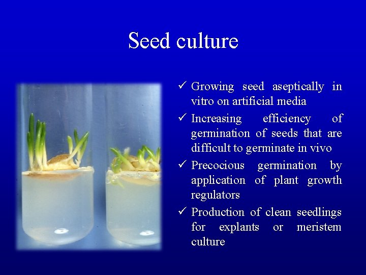 Seed culture ü Growing seed aseptically in vitro on artificial media ü Increasing efficiency