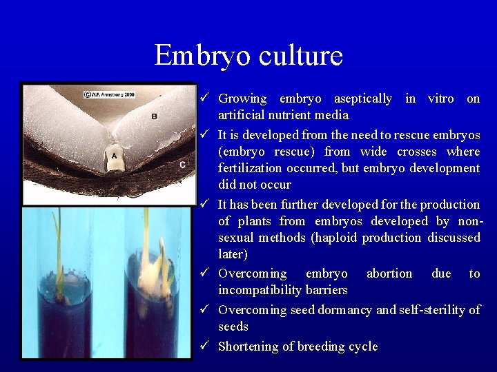 Embryo culture ü Growing embryo aseptically in vitro on artificial nutrient media ü It