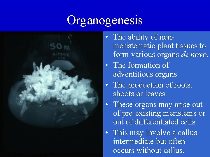 Organogenesis • The ability of nonmeristematic plant tissues to form various organs de novo.