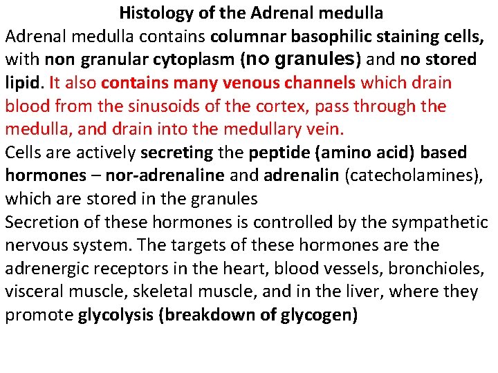 Histology of the Adrenal medulla contains columnar basophilic staining cells, with non granular cytoplasm