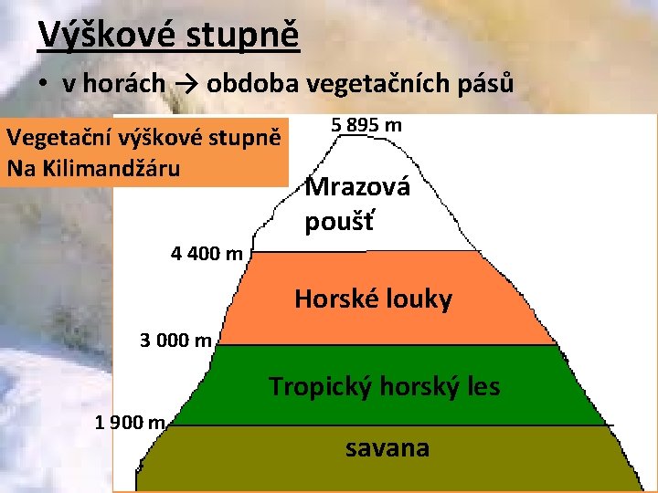 Výškové stupně • v horách → obdoba vegetačních pásů Vegetační výškové stupně Na Kilimandžáru