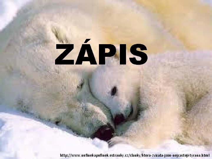 ZÁPIS http: //www. nufinekapufinek. estranky. cz/clanky/ktera-zvirata-jsou-nejcasteji-tyrana. html 