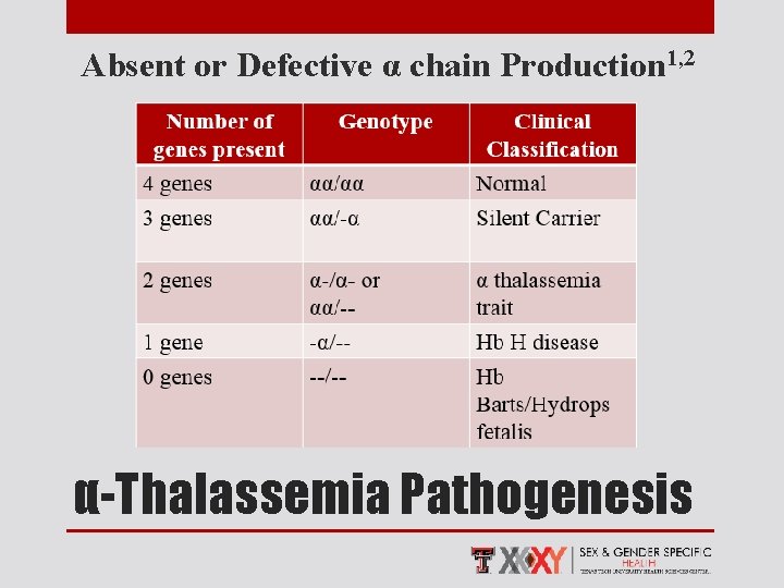 Absent or Defective α chain Production 1, 2 α-Thalassemia Pathogenesis 
