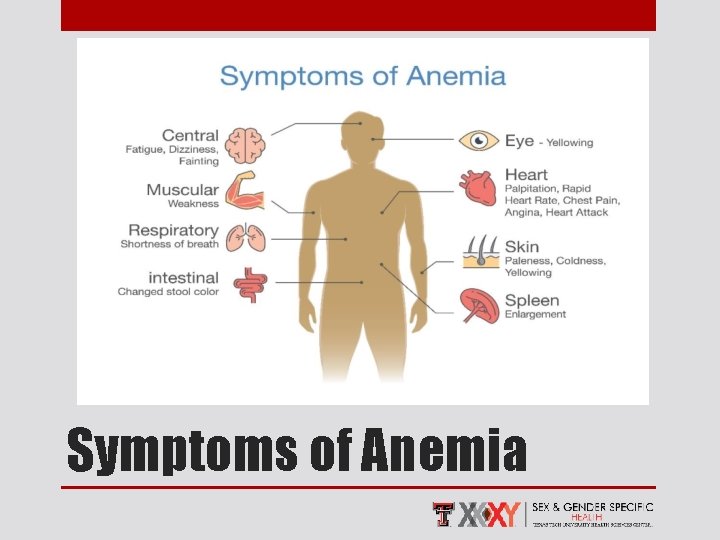 Symptoms of Anemia 