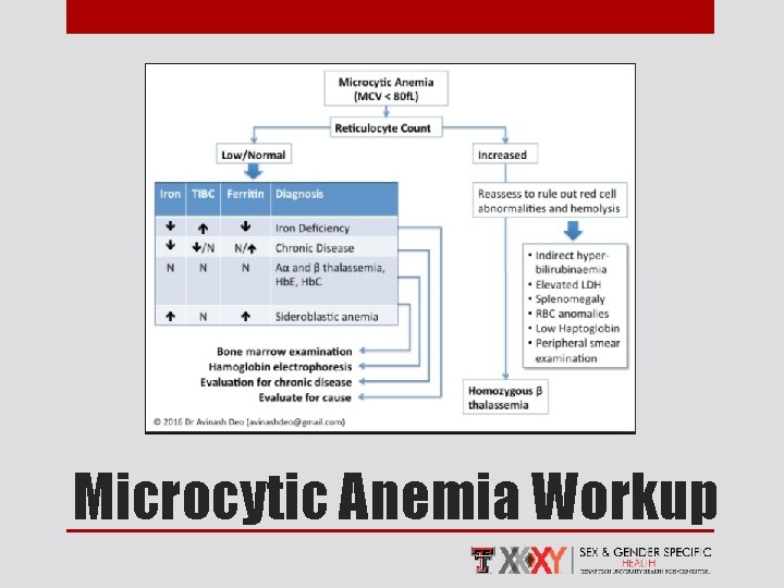 Microcytic Anemia Workup 