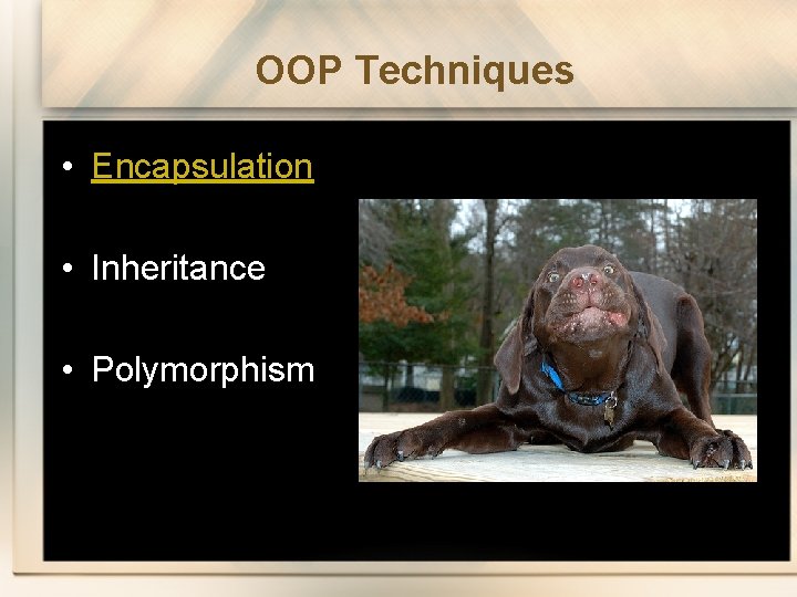 OOP Techniques • Encapsulation • Inheritance • Polymorphism 