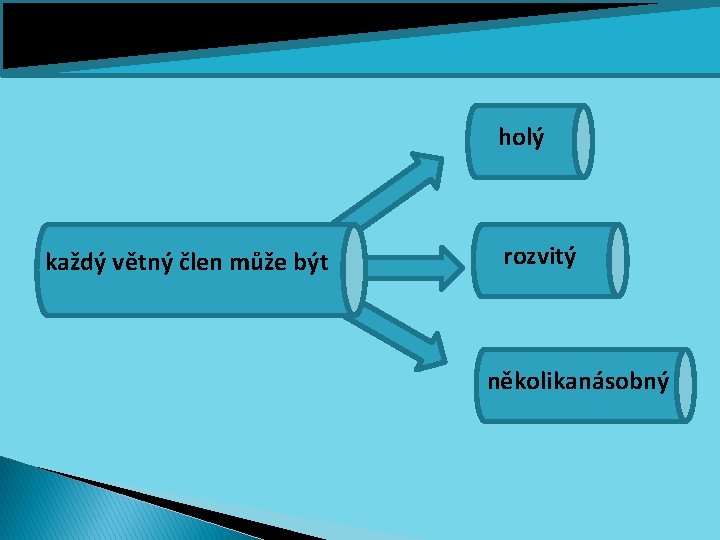 holý každý větný člen může být rozvitý několikanásobný 