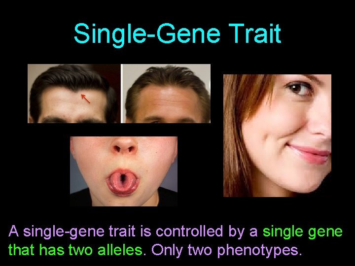Single-Gene Trait A single-gene trait is controlled by a single gene that has two