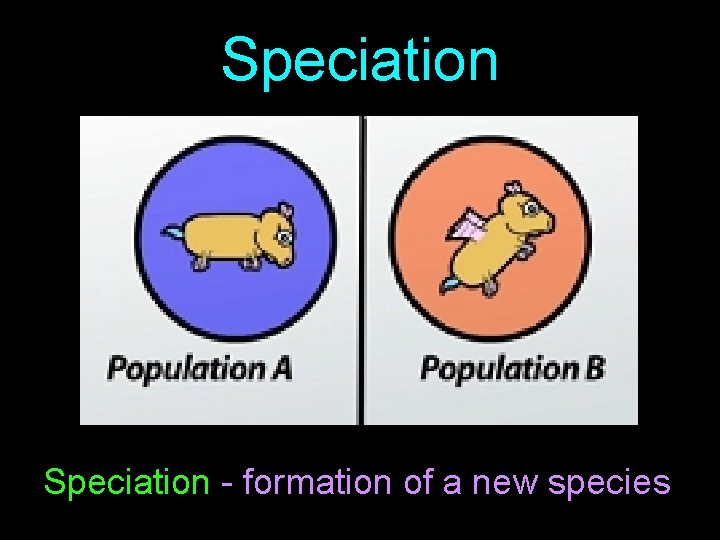 Speciation - formation of a new species 