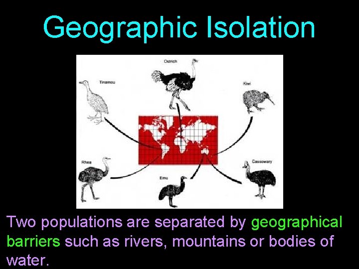 Geographic Isolation Two populations are separated by geographical barriers such as rivers, mountains or