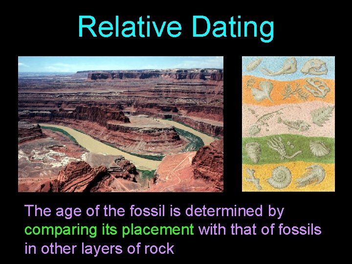 Relative Dating The age of the fossil is determined by comparing its placement with