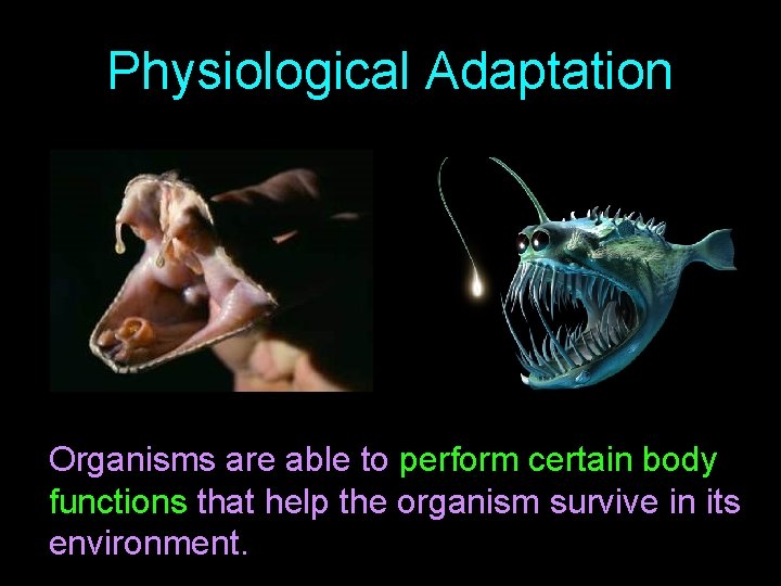 Physiological Adaptation Organisms are able to perform certain body functions that help the organism