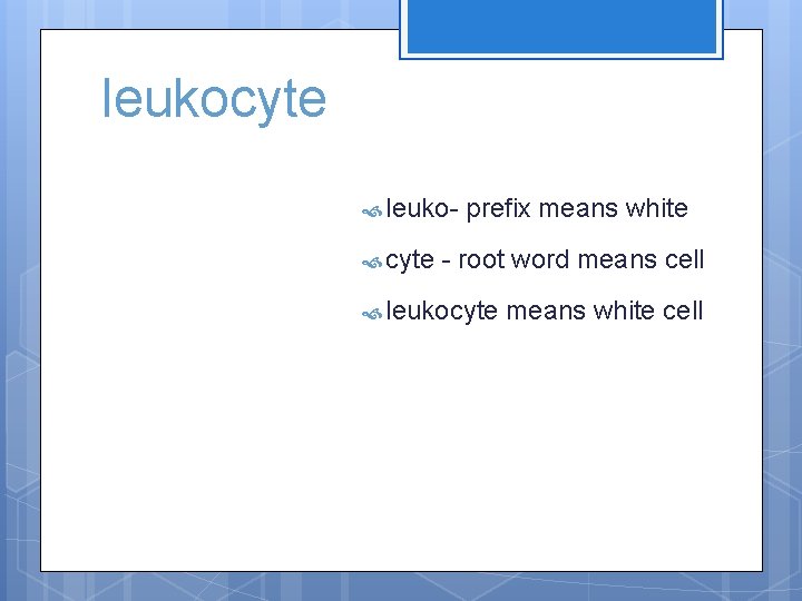 leukocyte leuko cyte prefix means white - root word means cell leukocyte means white