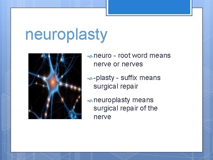 neuroplasty neuro - root word means nerve or nerves -plasty - suffix means surgical