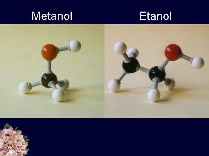 Metanol Etanol 