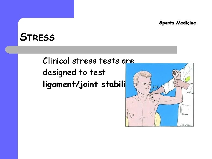Sports Medicine STRESS Clinical stress tests are designed to test ligament/joint stability. 