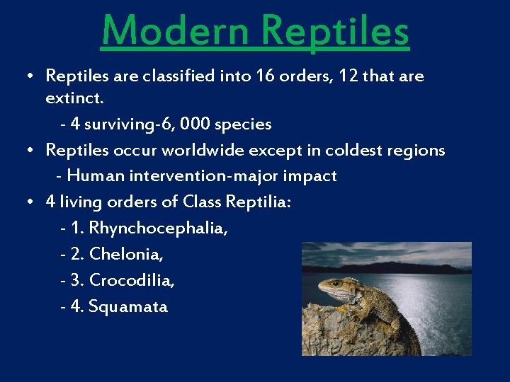 Modern Reptiles • Reptiles are classified into 16 orders, 12 that are extinct. -