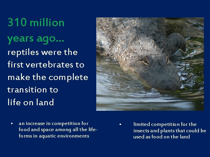 310 million years ago… reptiles were the first vertebrates to make the complete transition