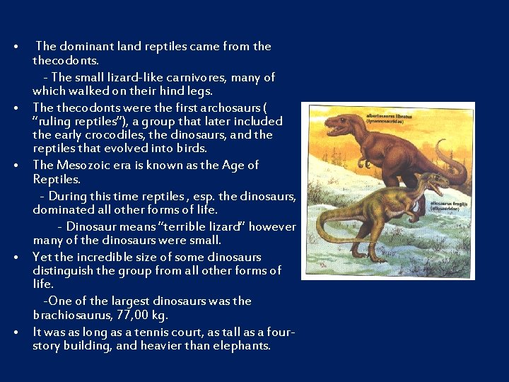  • • • The dominant land reptiles came from thecodonts. - The small