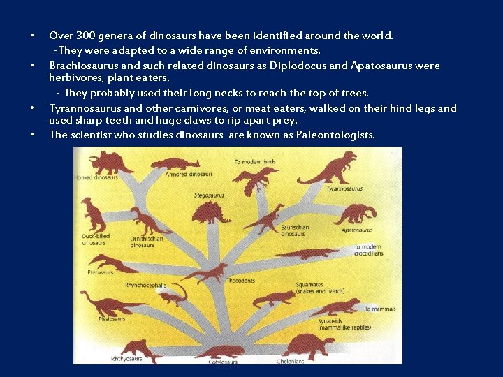  • • Over 300 genera of dinosaurs have been identified around the world.