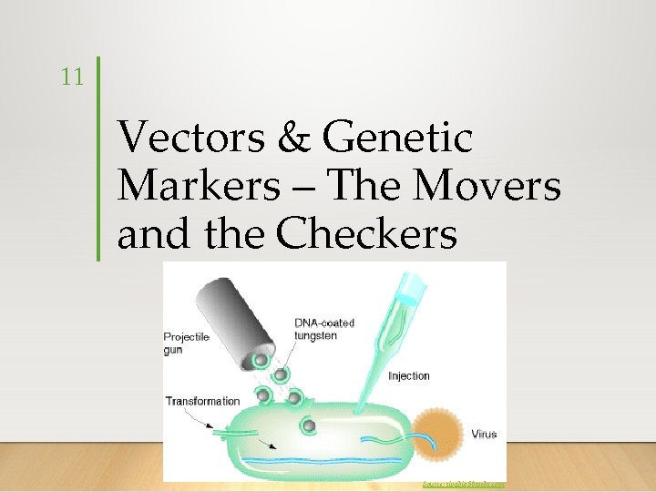 11 Vectors & Genetic Markers – The Movers and the Checkers Source: sivabio. 50