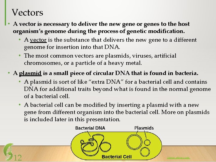 Vectors • A vector is necessary to deliver the new gene or genes to