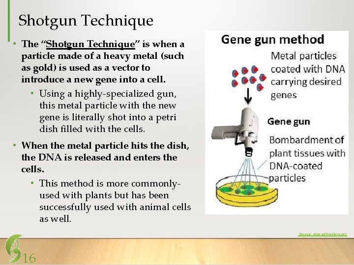 Shotgun Technique • The “Shotgun Technique” is when a particle made of a heavy