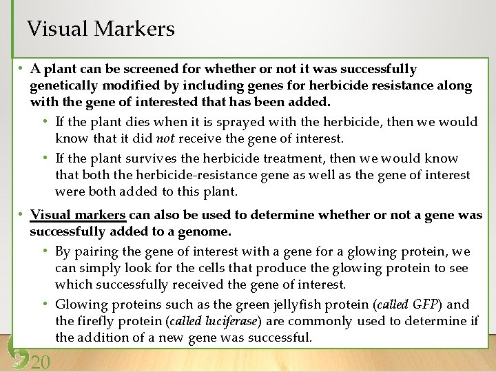 Visual Markers • A plant can be screened for whether or not it was