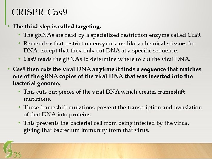 CRISPR-Cas 9 • The third step is called targeting. • The g. RNAs are