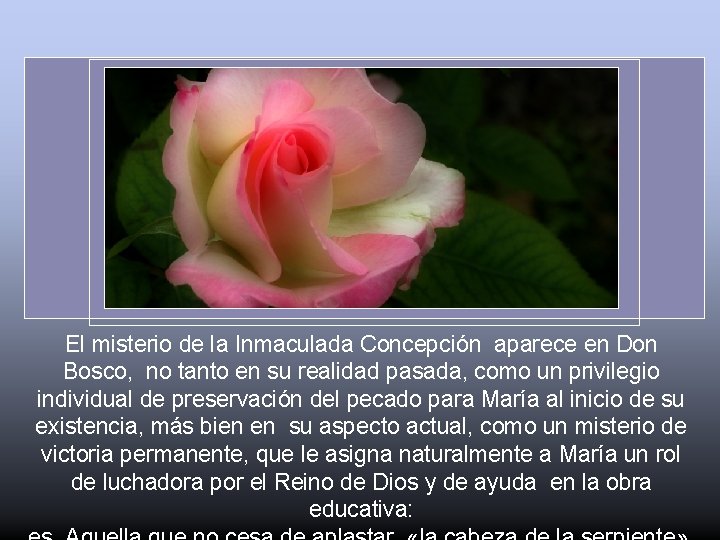 El misterio de la Inmaculada Concepción aparece en Don Bosco, no tanto en su