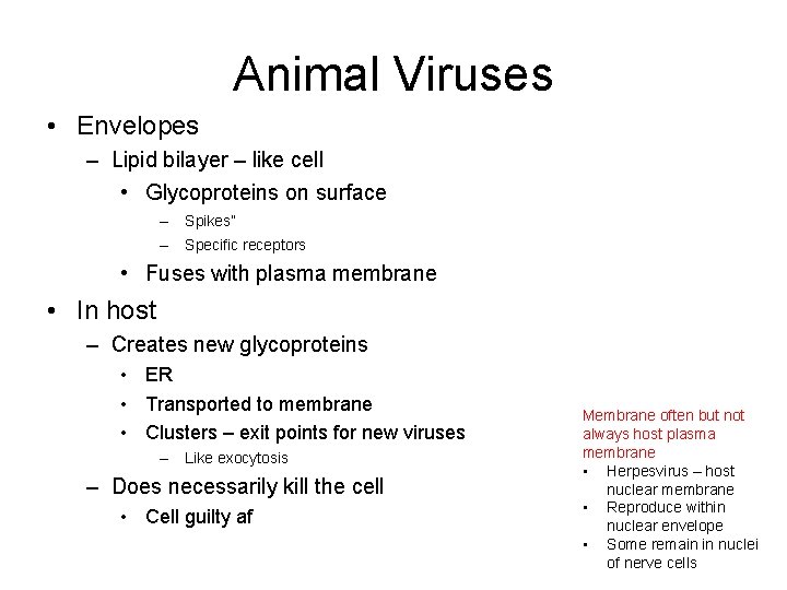 Animal Viruses • Envelopes – Lipid bilayer – like cell • Glycoproteins on surface