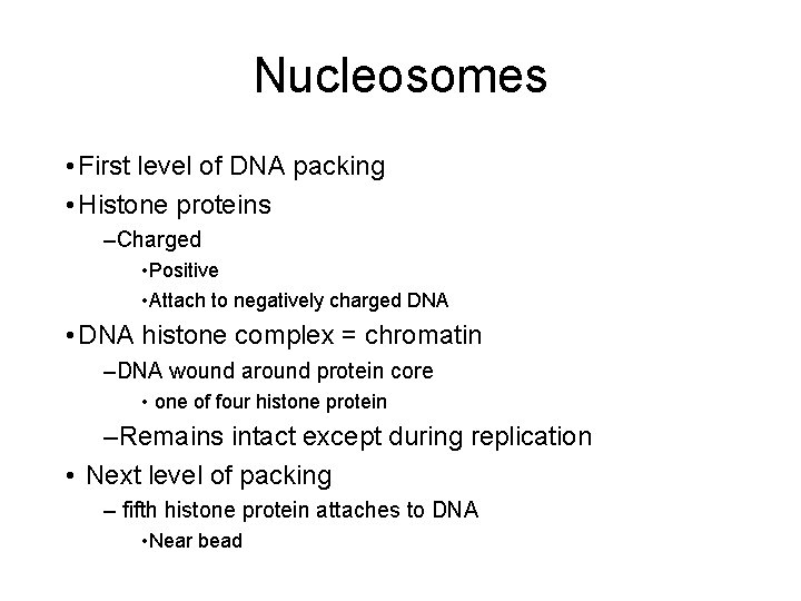 Nucleosomes • First level of DNA packing • Histone proteins –Charged • Positive •