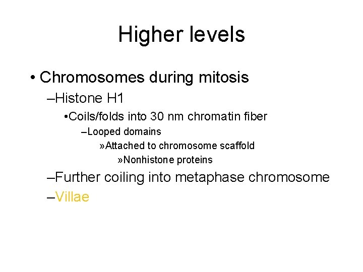 Higher levels • Chromosomes during mitosis –Histone H 1 • Coils/folds into 30 nm