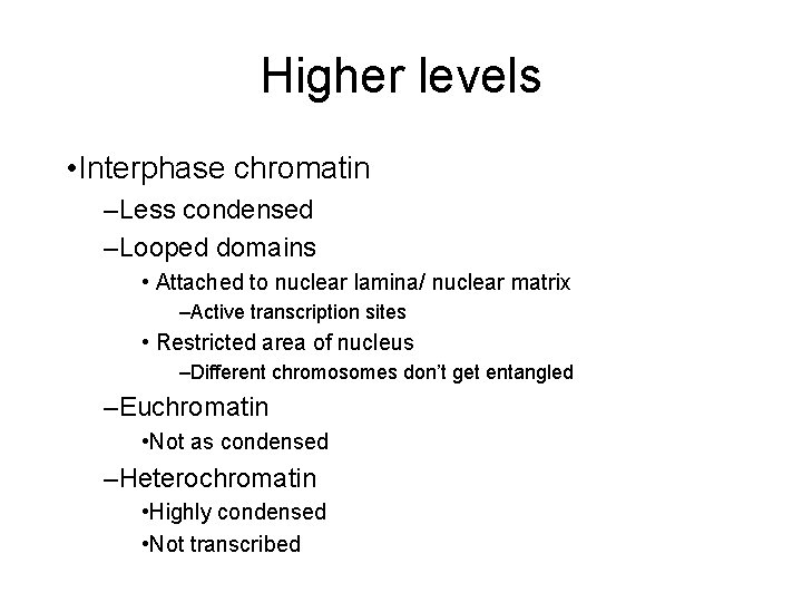 Higher levels • Interphase chromatin –Less condensed –Looped domains • Attached to nuclear lamina/