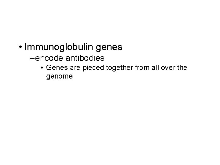  • Immunoglobulin genes – encode antibodies • Genes are pieced together from all