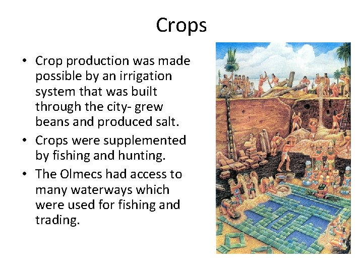 Crops • Crop production was made possible by an irrigation system that was built