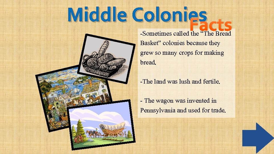 Middle Colonies Facts -Sometimes called the “The Bread Basket” colonies because they grew so