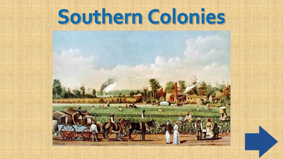 Southern Colonies 