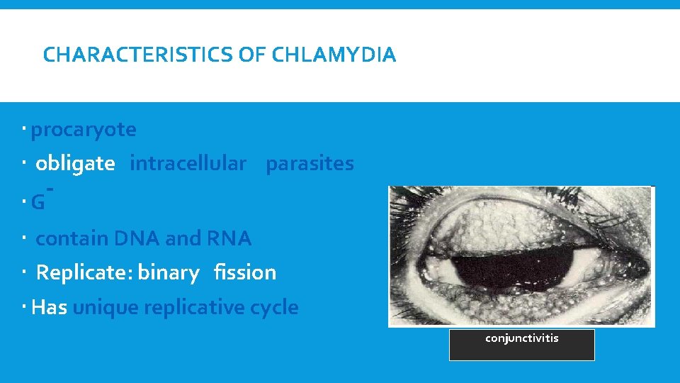 CHARACTERISTICS OF CHLAMYDIA procaryote obligate intracellular parasites G contain DNA and RNA Replicate: binary