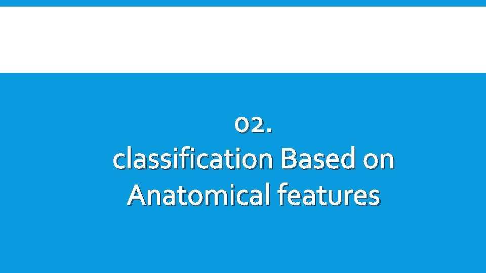 02. classification Based on Anatomical features 