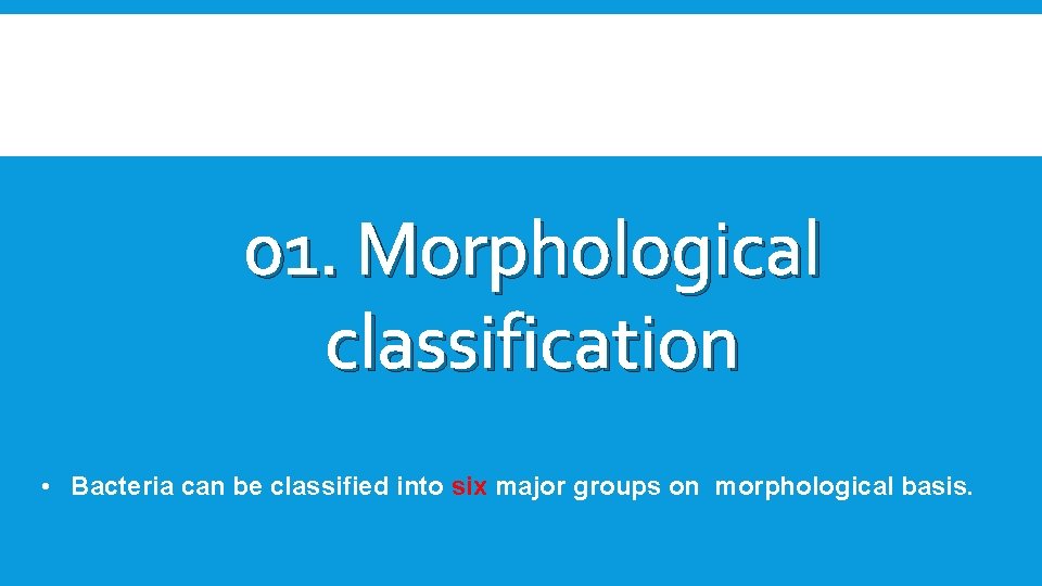 01. Morphological classification • Bacteria can be classified into six major groups on morphological