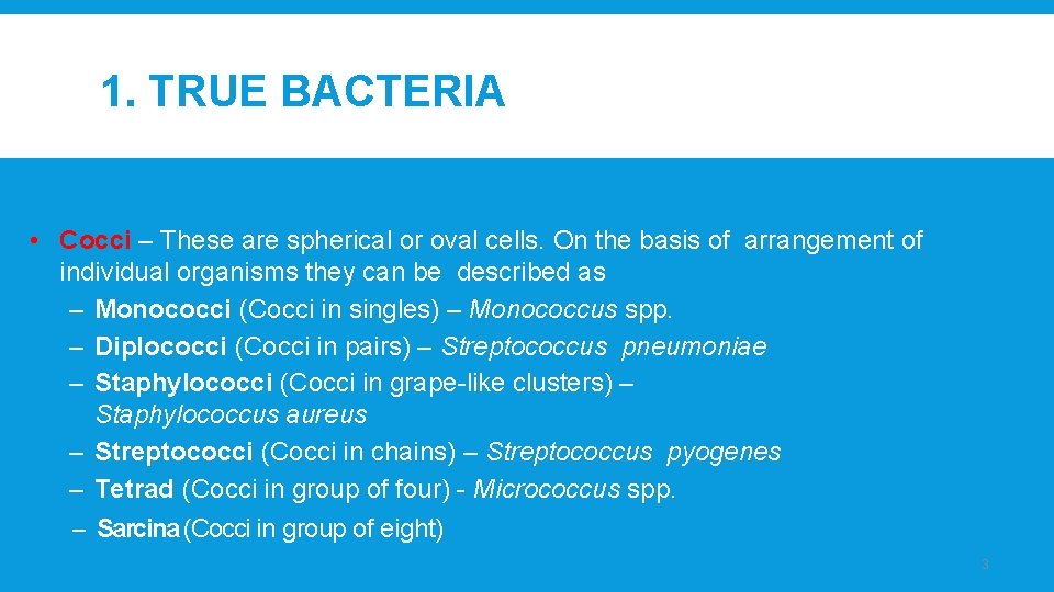 1. TRUE BACTERIA • Cocci – These are spherical or oval cells. On the