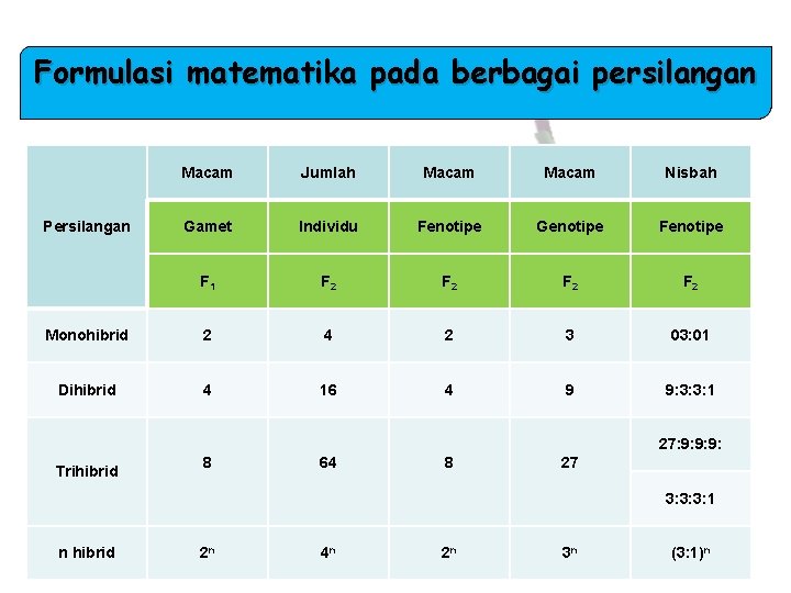 Formulasi matematika pada berbagai persilangan Macam Jumlah Macam Nisbah Gamet Individu Fenotipe Genotipe F