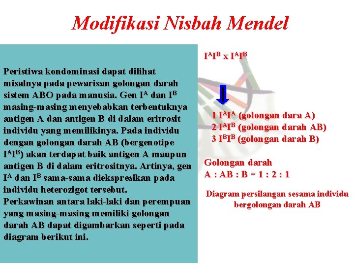 Modifikasi Nisbah Mendel IAIB x IAIB Peristiwa kondominasi dapat dilihat misalnya pada pewarisan golongan