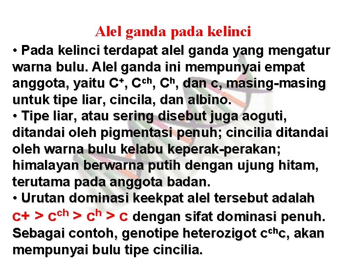 Alel ganda pada kelinci • Pada kelinci terdapat alel ganda yang mengatur warna bulu.